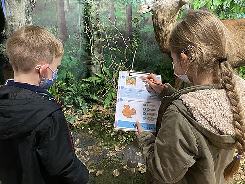 Erprobung des Museumsblocks durch die Entwickler:innen