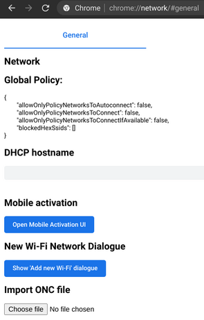 Screenshot: General-Seite in Chrome mit Informationen zum Netzwerk.