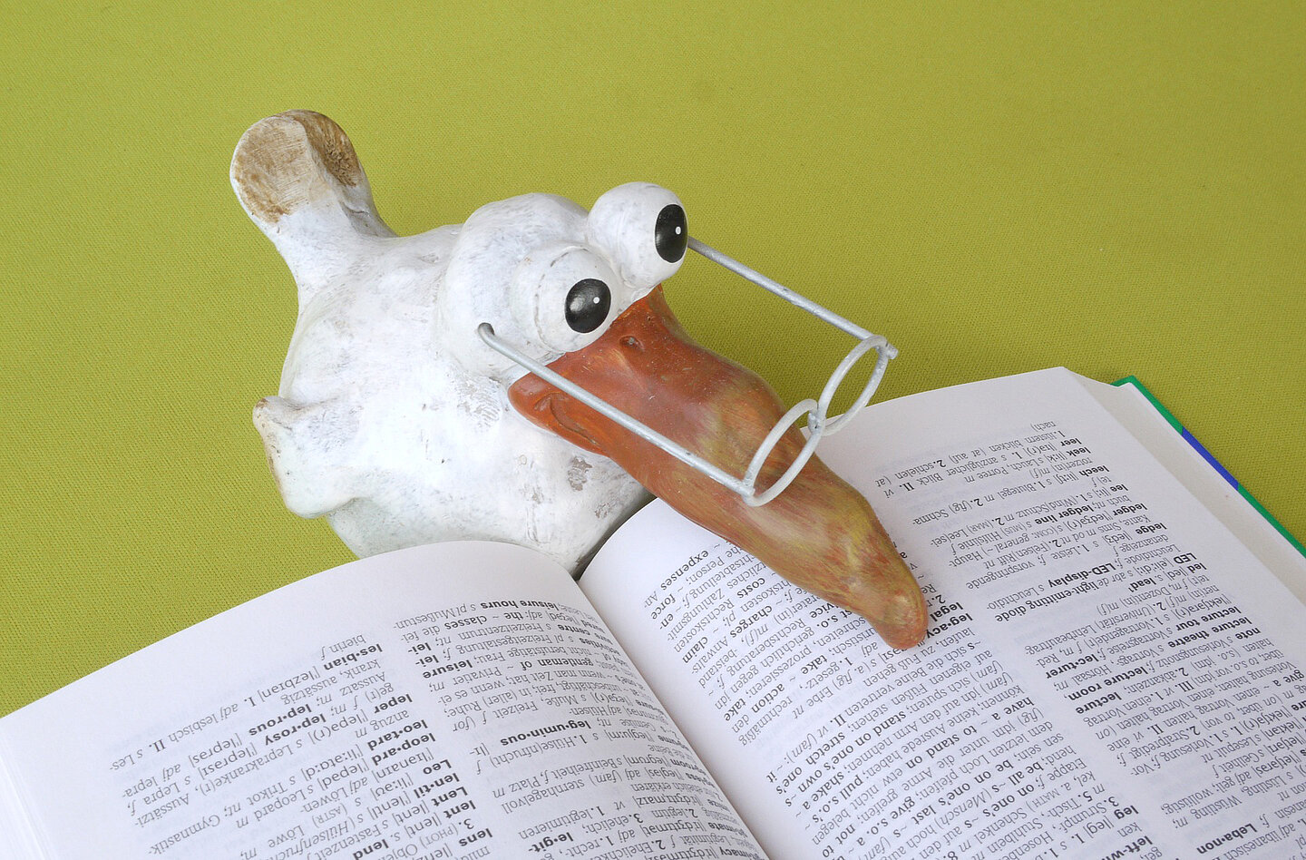 Vogel mit Brille, der ein Buch liest