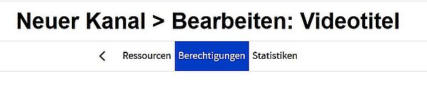 Die Auswahl des Bereichs "Berechtigungen" im Menü neben "Ressourcen" und "Statistiken" wird gezeigt