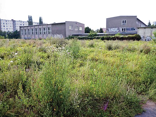Streifzüge und Durchquerungen Streifzüge und Durchquerungen
