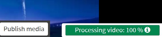 Der Hinweis „Processing video 100%“ neben dem „Publish media“ wird dargestellt